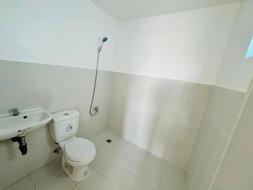 Toilet & Bath Toilet & Bath